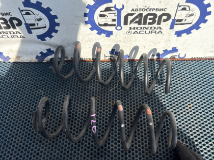 Задние пружины DK5FW